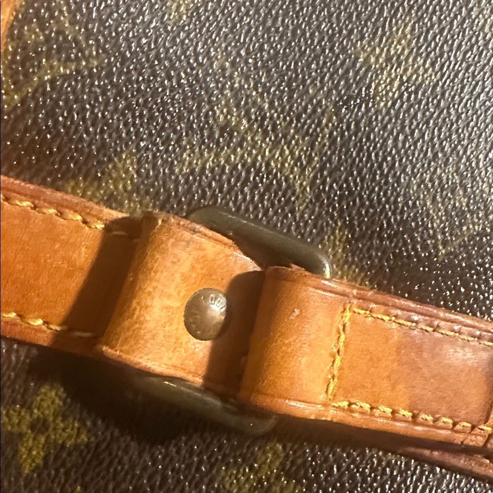 Louis Vuitton Monogram Sac Souple Tote - Picture 12 of 16
